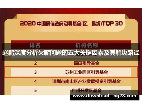 赵鹏深度分析欠薪问题的五大关键因素及其解决路径