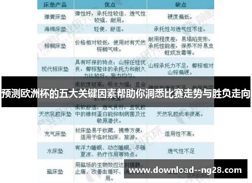 预测欧洲杯的五大关键因素帮助你洞悉比赛走势与胜负走向